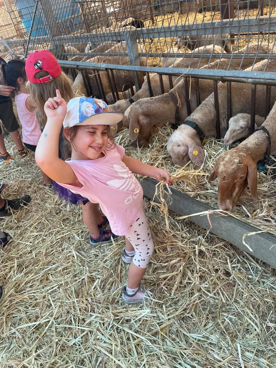 קייטנת הכפר הירוק לגעת בטבע