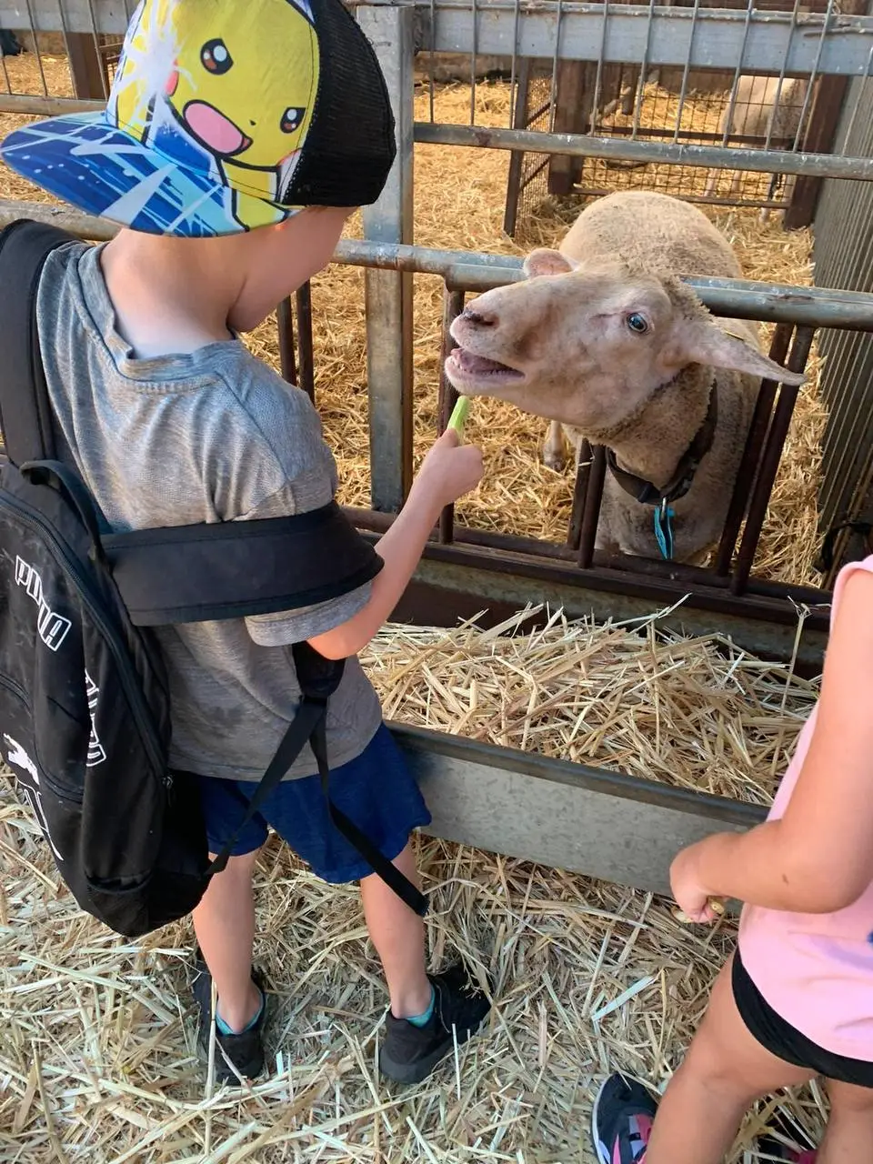 קייטנת לגעת בטבע הכפר הירוק
